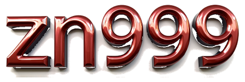 zn999 logo